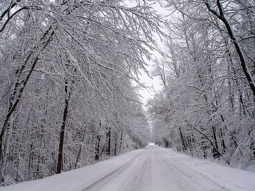 Snowy drive home