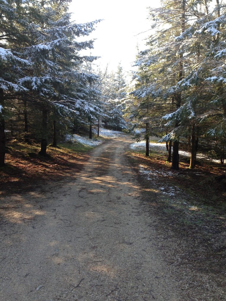 Go away winter