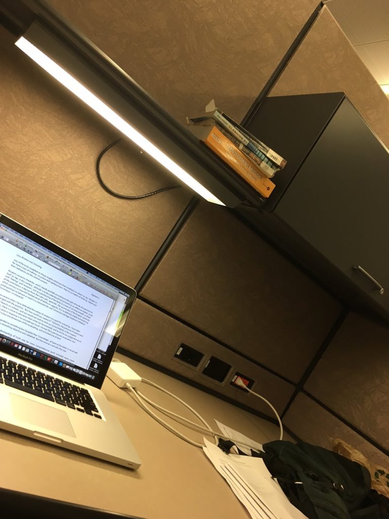 Preoccupied with PhD studies