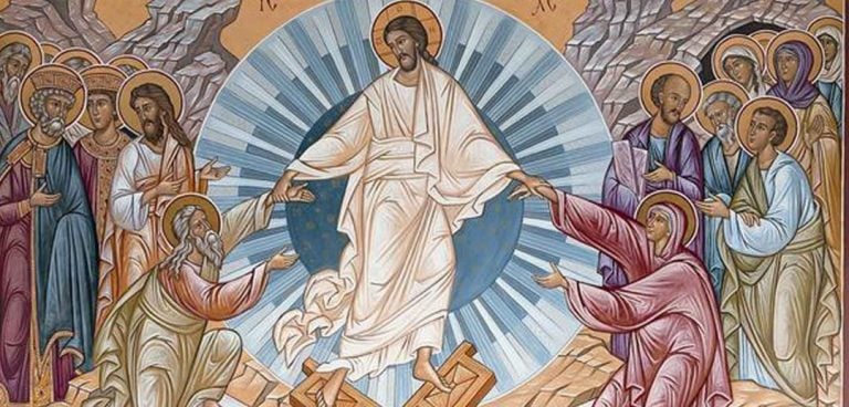 Brain Plasticity and Resurrection