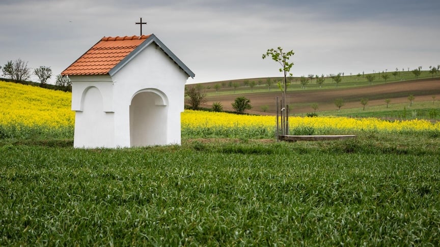 Theological educators and denominational leaders